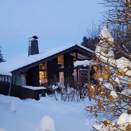 Holiday home Amselnest *