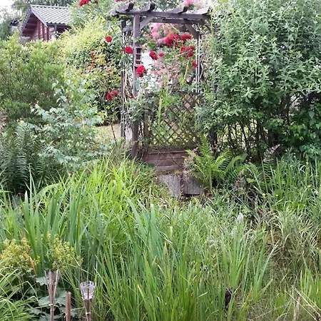 Amselnest * Bromskirchen