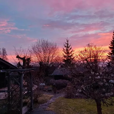 Amselnest * Bromskirchen
